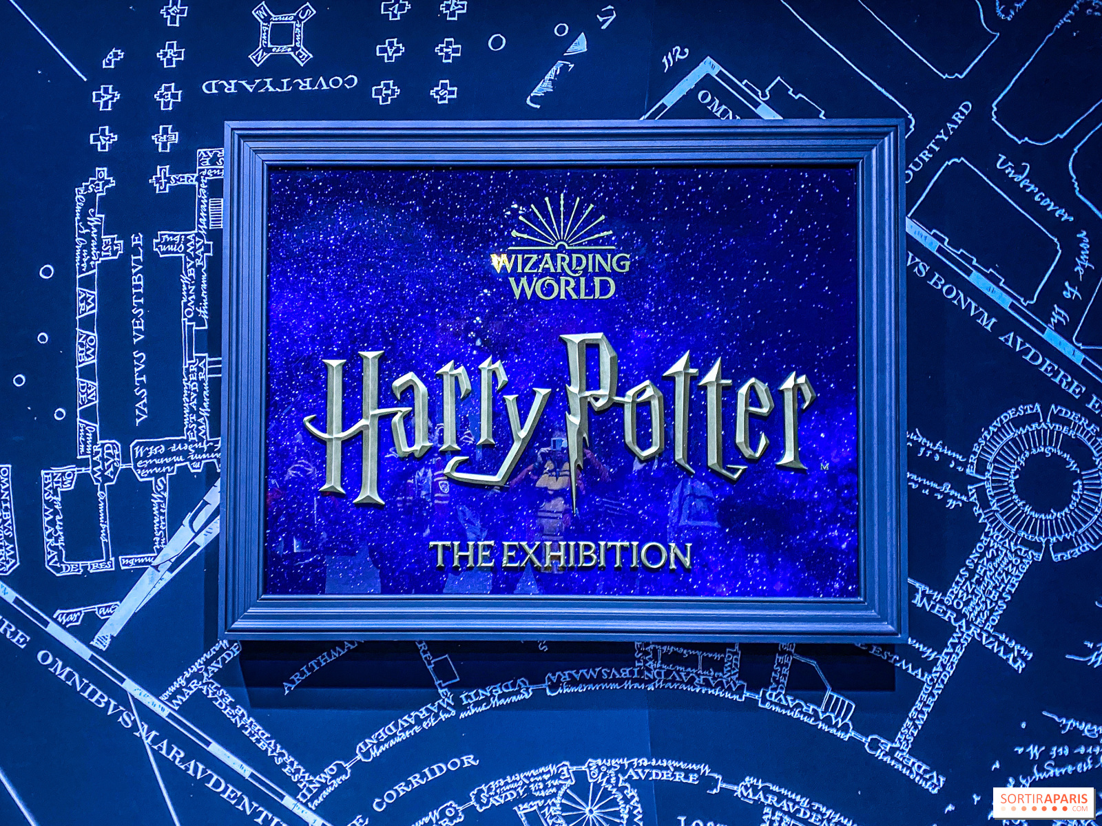 La baguette interactive collector 2020 du Wizarding World of Harry