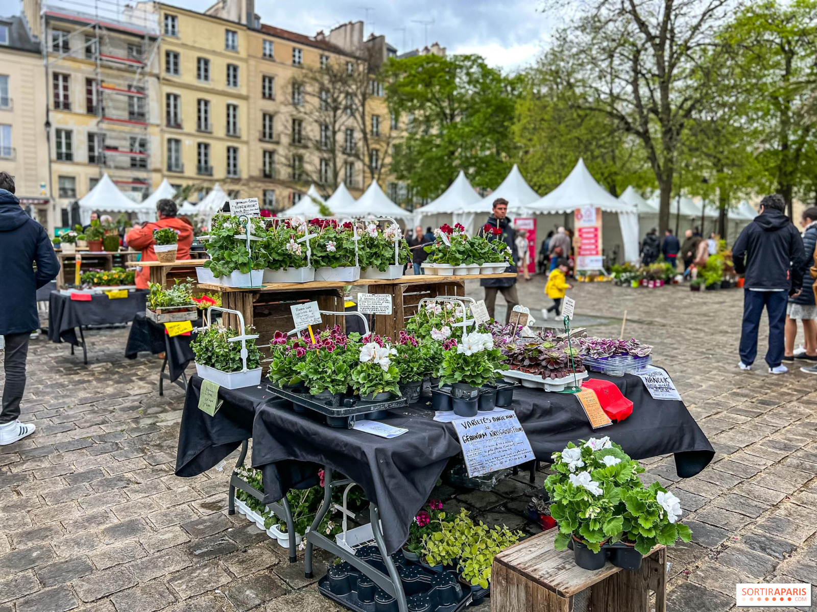 Les Fêtes des Plantes, marchés et Jardins à Paris et en Ile-de-France 2023  