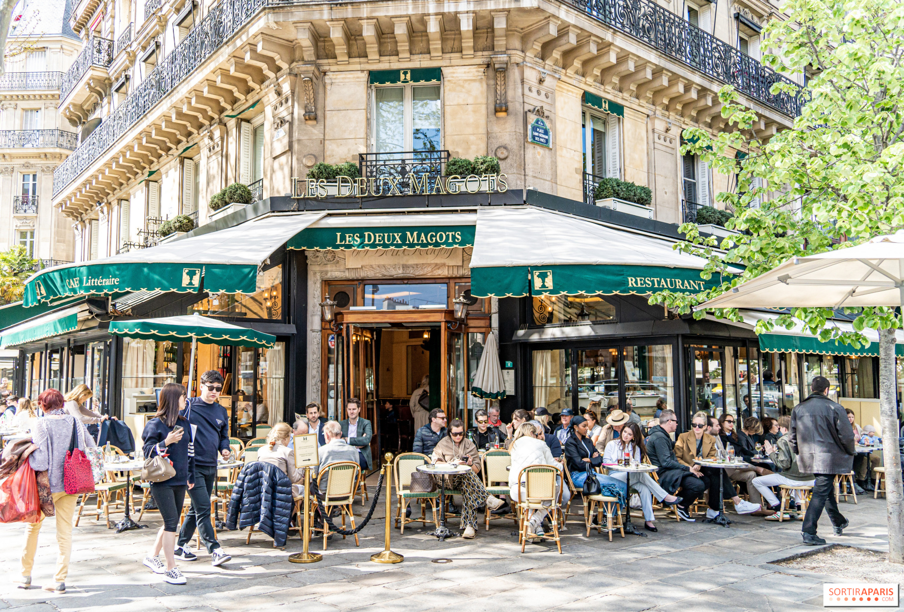 The St-Germain Spritz - Les Deux Magots