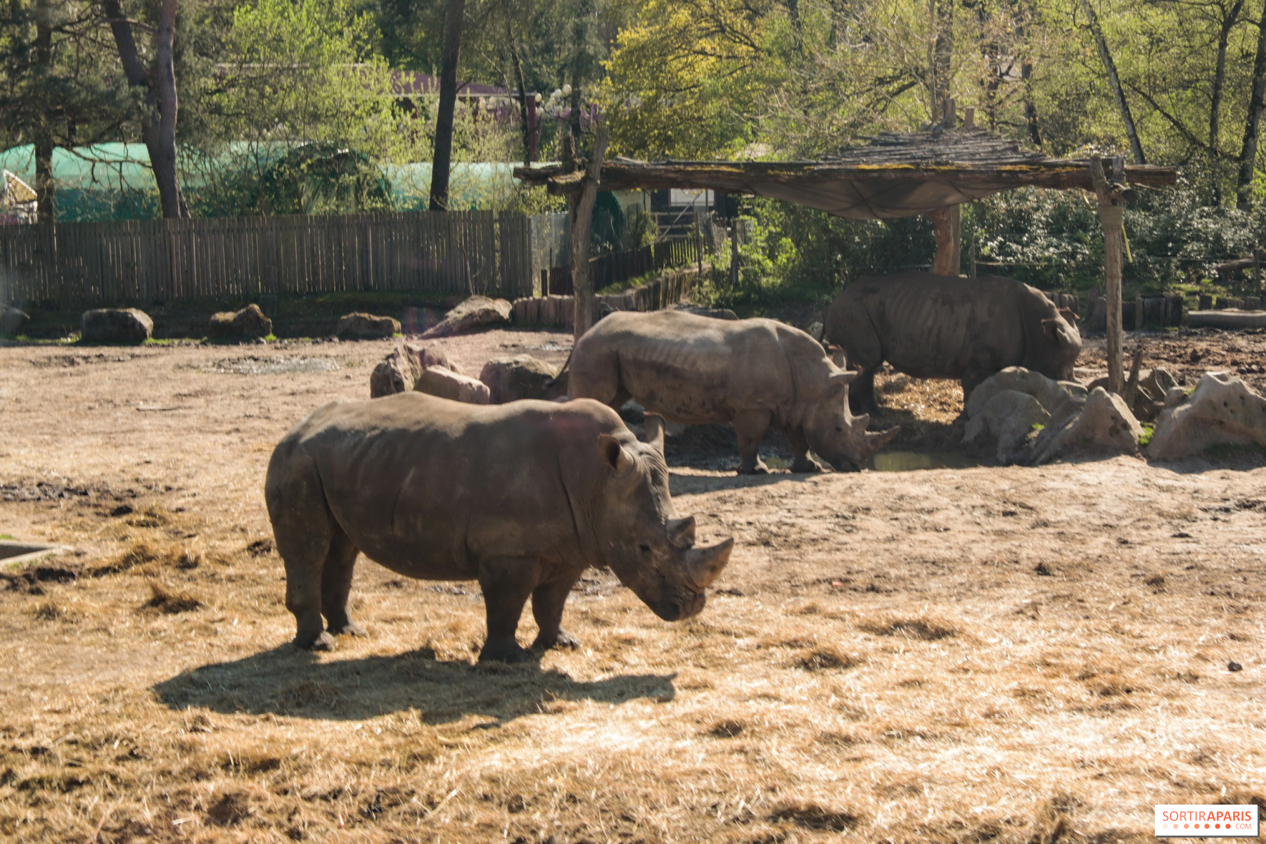 Usædvanligt: tilbring en formiddag i skoene på en ranger i Thoiry Zoo ...