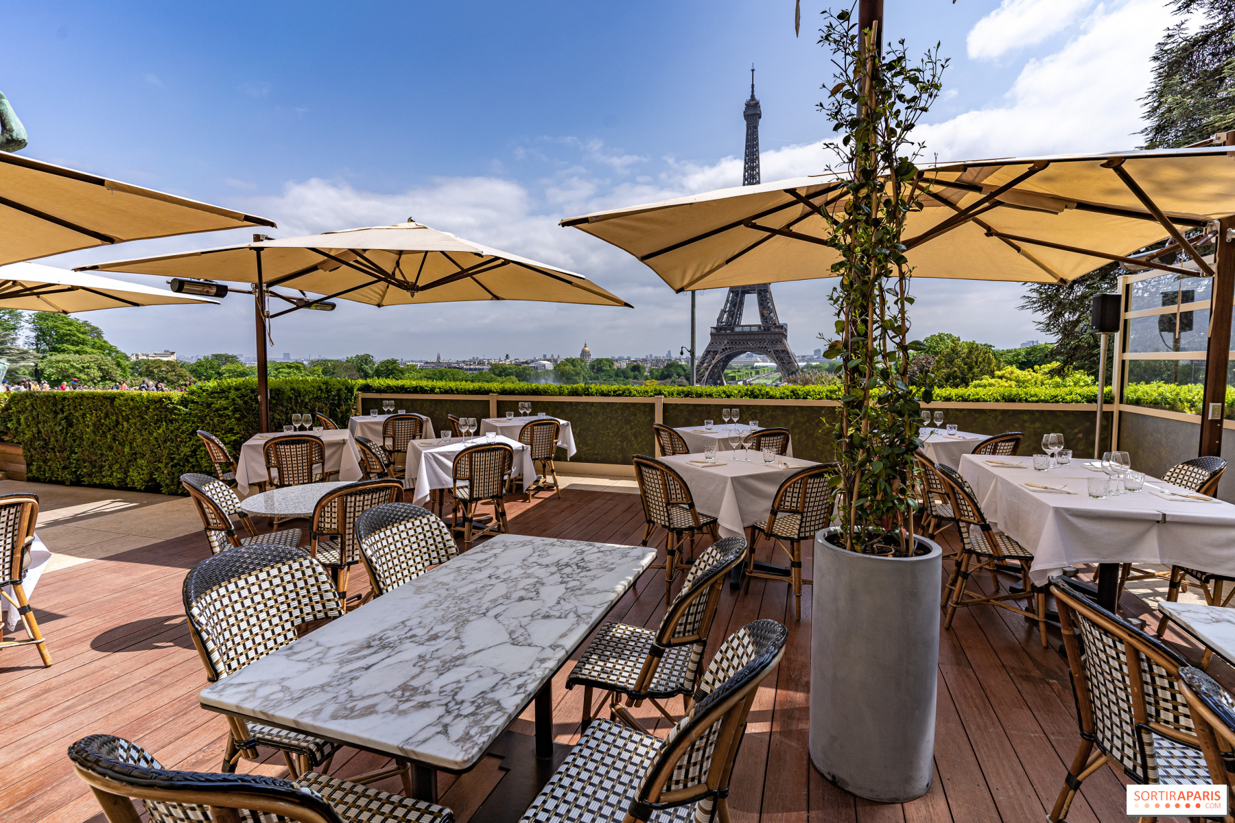 Café de l'Homme - Rooftop bar Paris  Paris restaurants, Paris hotels, Paris  rooftops