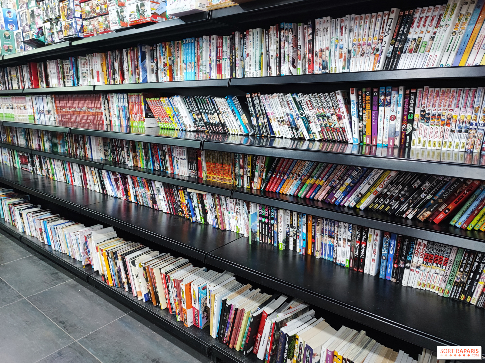 Manga Story e Tsume Store: il tempio delle librerie di manga, usato e nuovo  