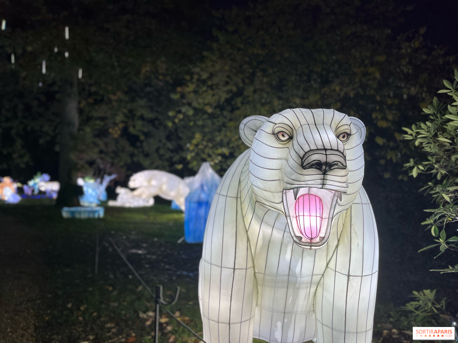 Les illuminations féeriques du Zoo Safari de Thoiry commencent dimanche :  découvrez-les en quelques chiffres - Chartres (28000)