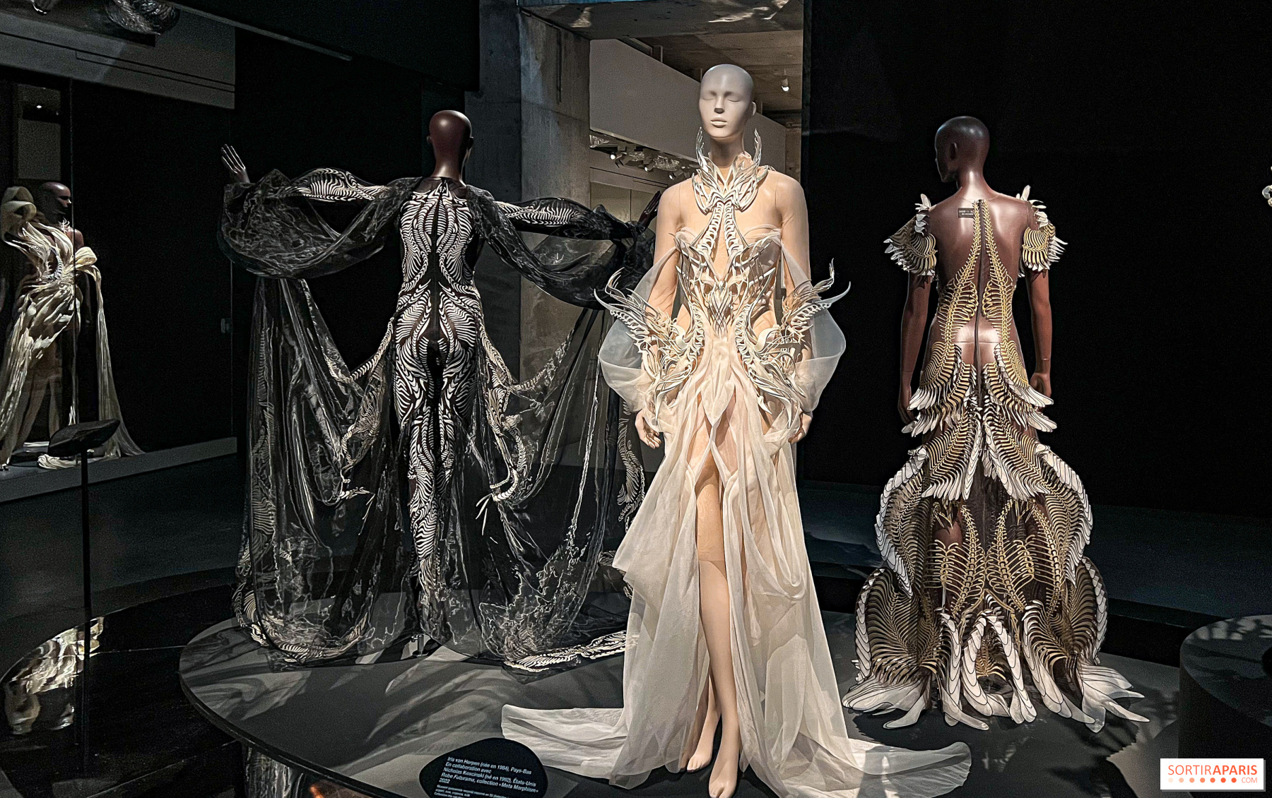 Detrás de cámaras - El arte del modelaje en pasarela y las presentaciones de desfiles de moda