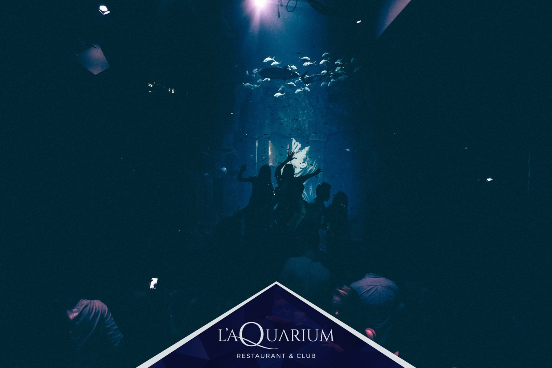 AQUARIUM'S NEW YEAR TOUR EIFFEL 2024 Capodanno ai PIEDI DELLA TORRE