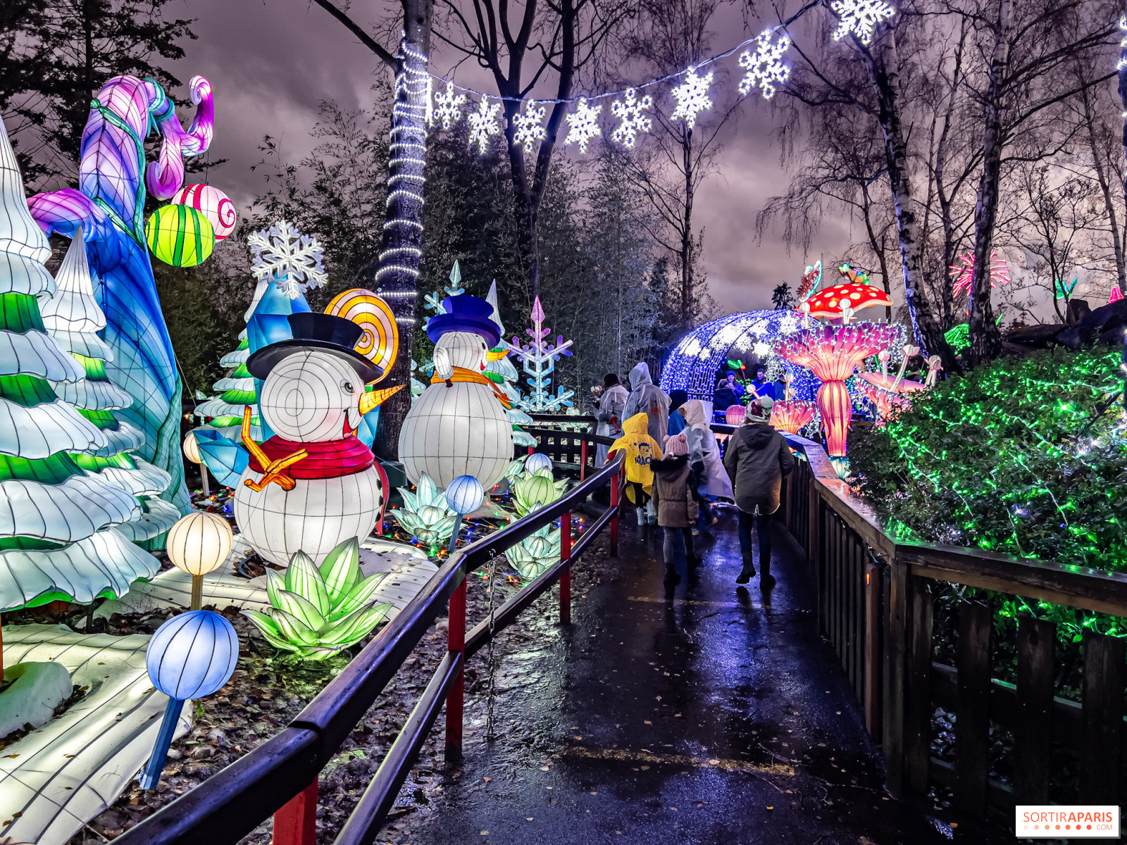 Les plus belles balades magiques de Noël et d'hiver à Paris et en