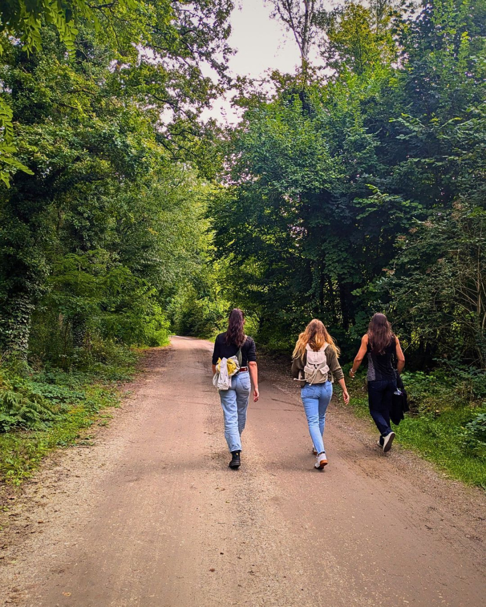 Plongez dans un Escape Game Outdoor en pleine forêt de Fontainebleau, mêlant randonnée et réflexion.
