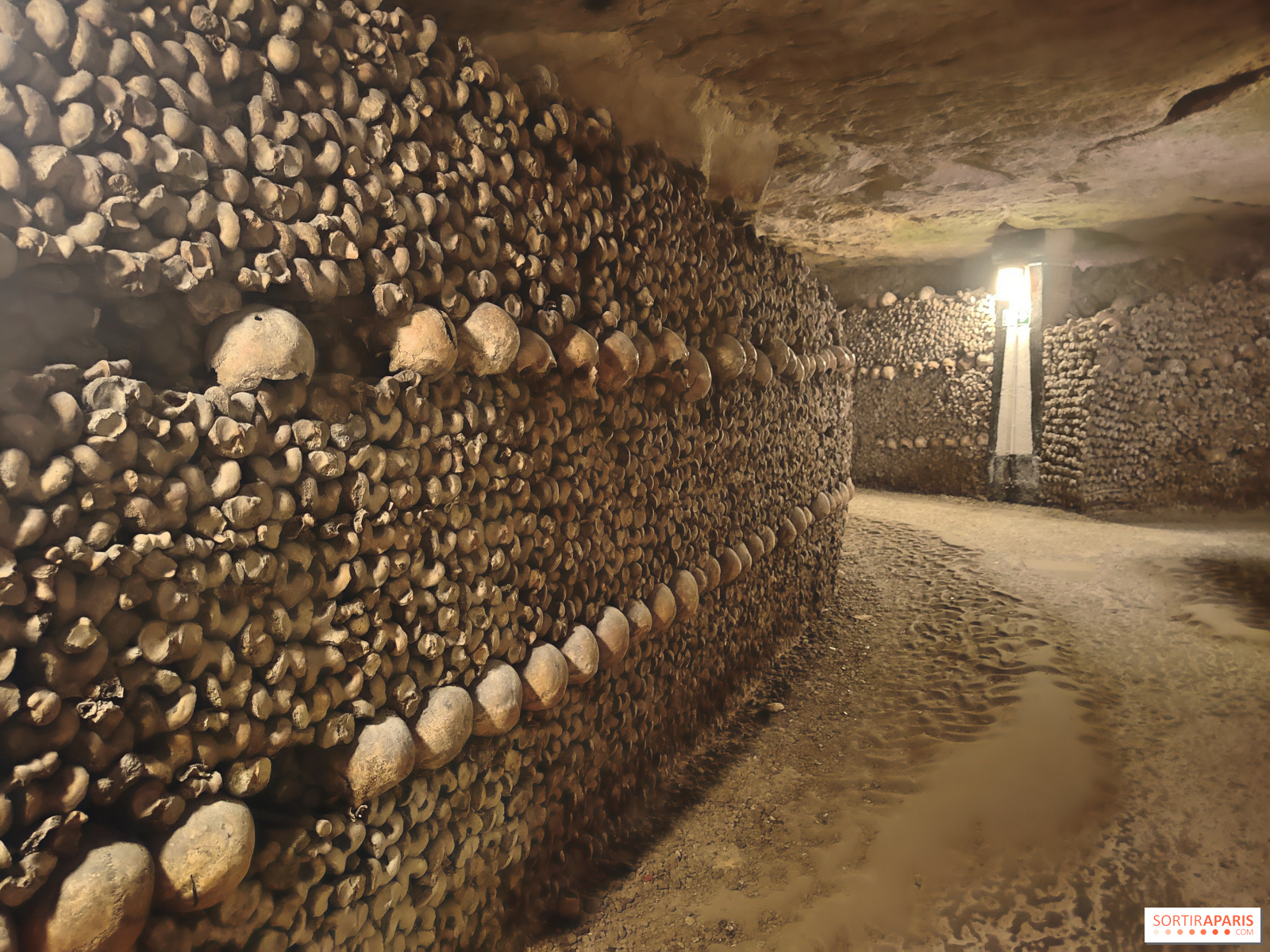 Nocturne spéciale aux Catacombes : vivez une dernière soirée sous terre avant la fermeture du site
