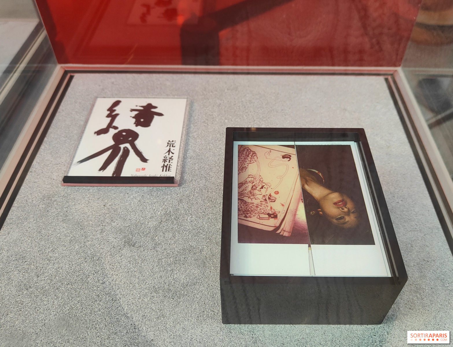 荒木経惟の1000枚のポラロイド「ポララキ」：ギメ美術館の展覧会が公開