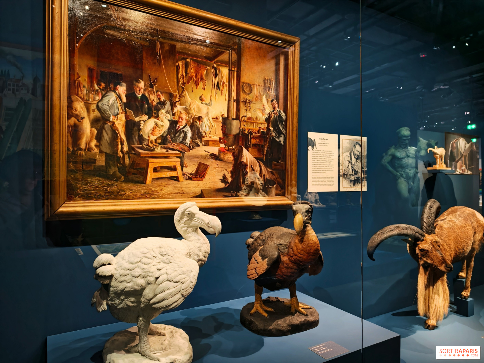 Artistes au Muséum : le Muséum national d'Histoire naturelle fête ses 400 ans avec une exposition