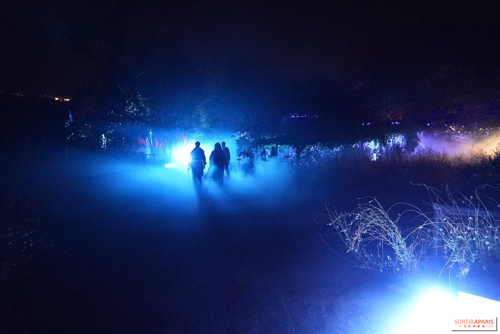 Des silhouettes dans la brume bleue au Parc de l’Étrange 2026 Des silhouettes dans la brume bleue au Parc de l’Étrange 2026