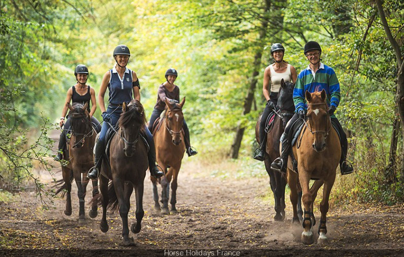 Balades à cheval accompagnées - Fontainebleau Tourisme - Fontainebleau  Tourisme