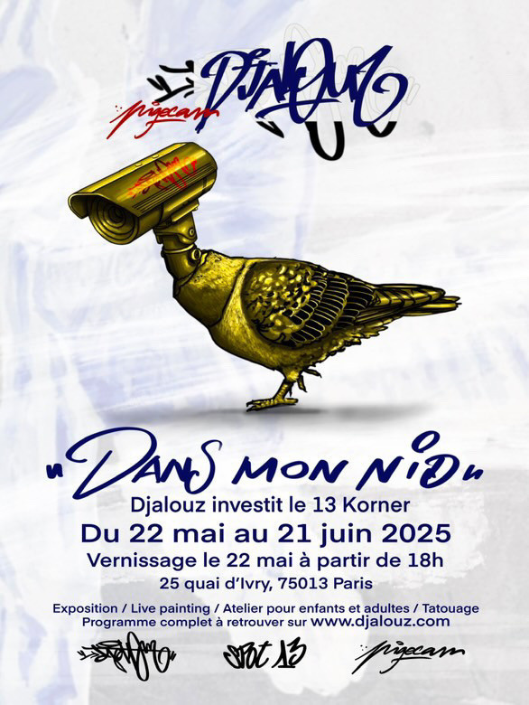パリ13区のDjalouzによる無料ストリートアート展：dans mon nid