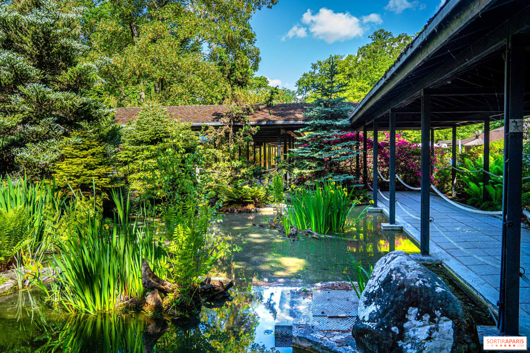 15 idées pour un jardin zen 