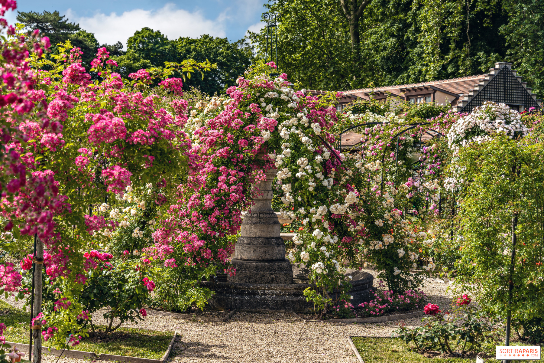 The most beautiful rose gardens in Paris and Île-de-France 