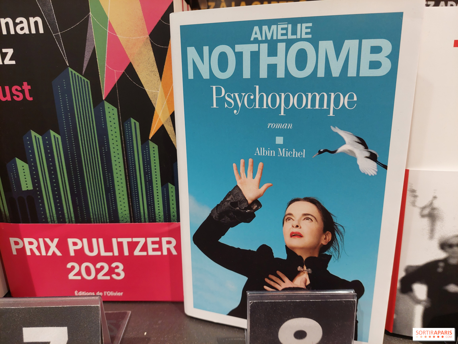 Les 10 meilleurs livres de Amélie Nothomb
