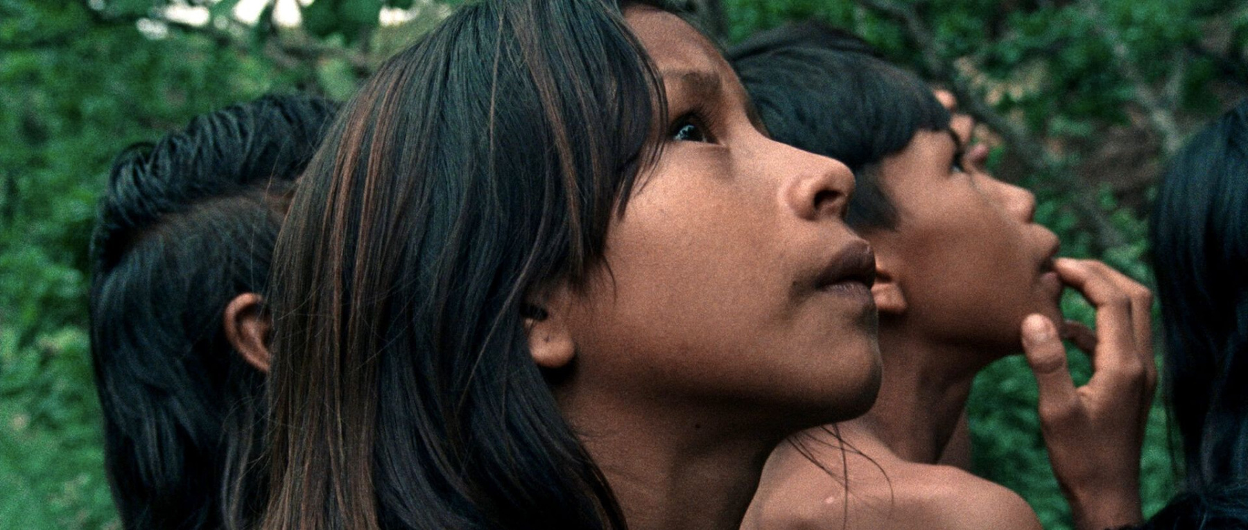 La Fleur de Buriti, un regard sur l'histoire indigène brésilienne : bande-annonce