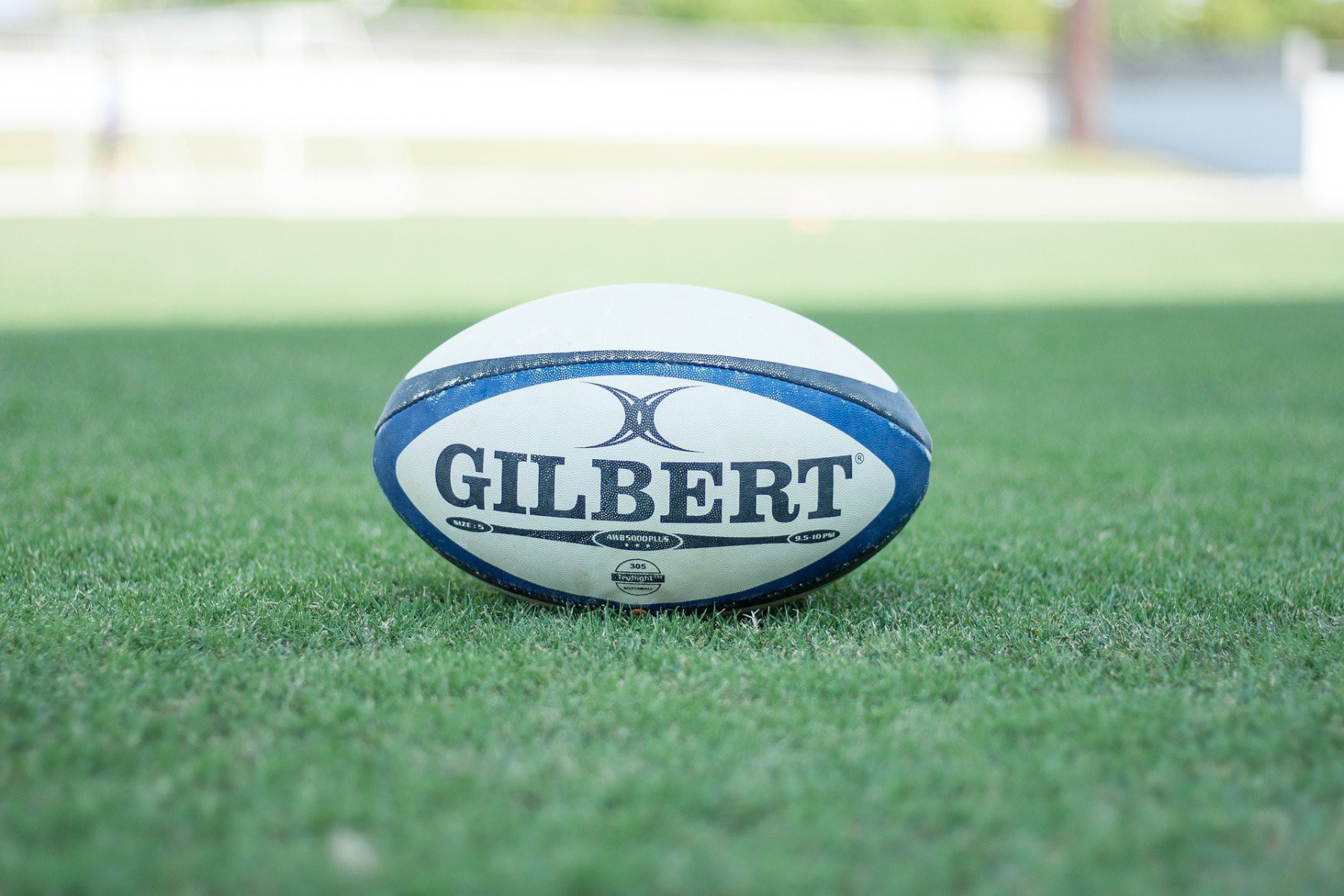 Coupe du monde de rugby 2023 : pourquoi le ballon est-il ovale