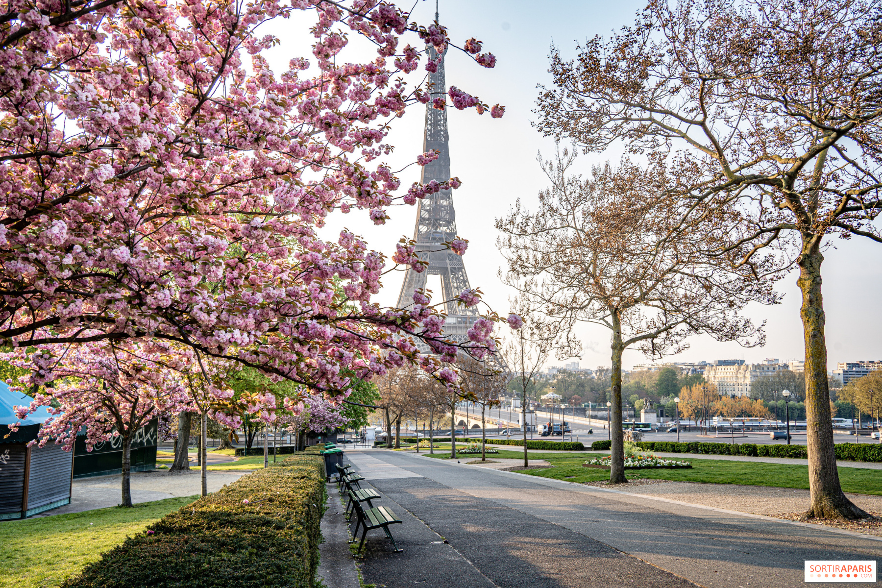 Весна близко: 7 городов для встречи весны