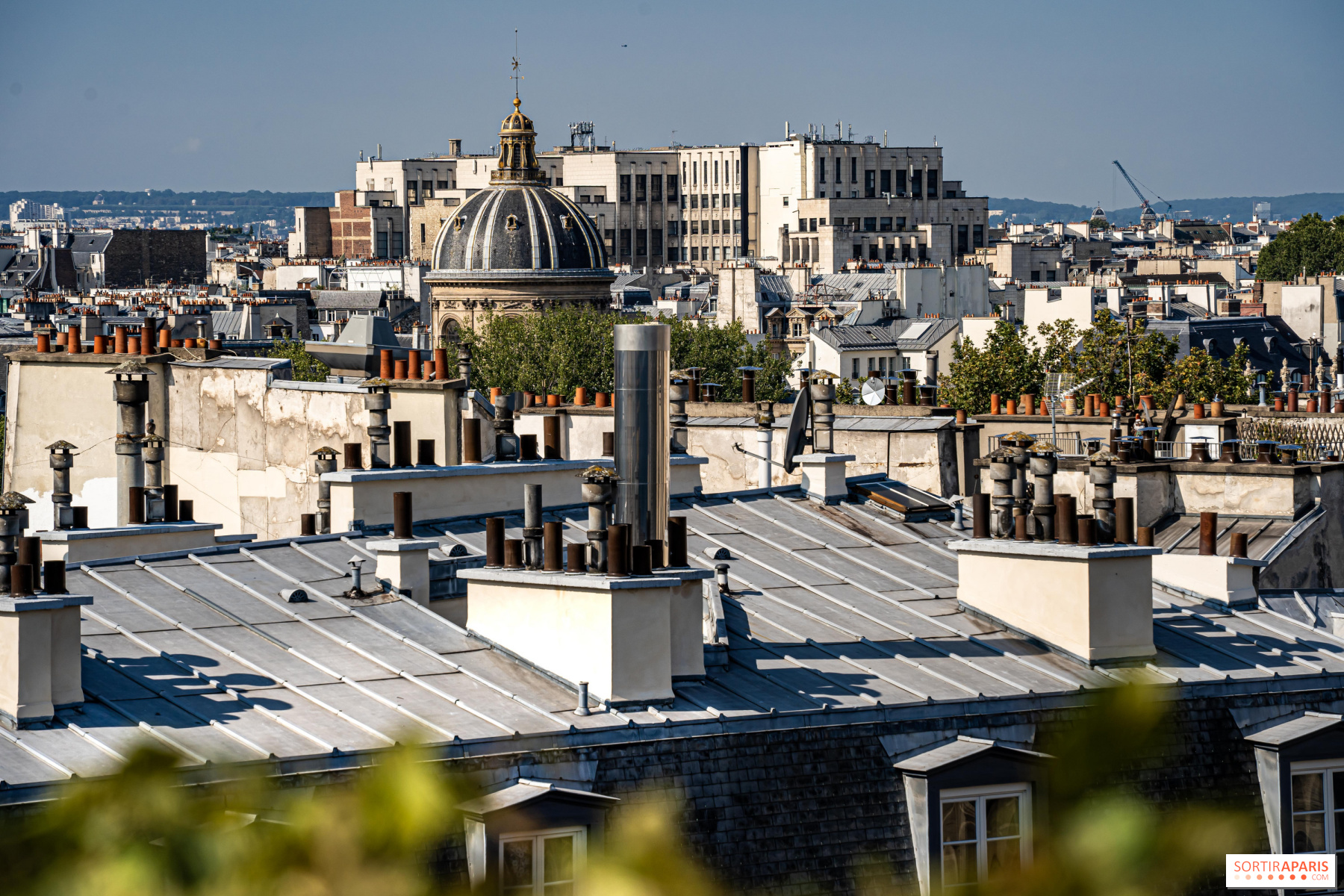 Paris real estate: the capitals most expensive shopping streets — Paris  Property Group