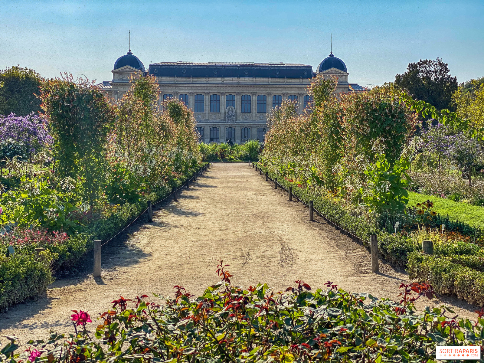 Le Jardin des Plantes et du Museum Paris reste ouvert -