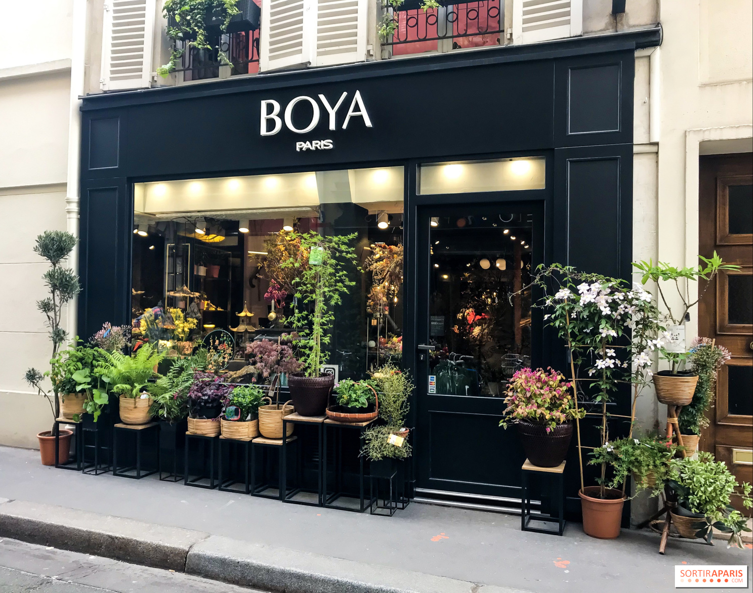 6 Gorgeous Mid-Winter Flowers to Buy in Paris - Paris Perfect