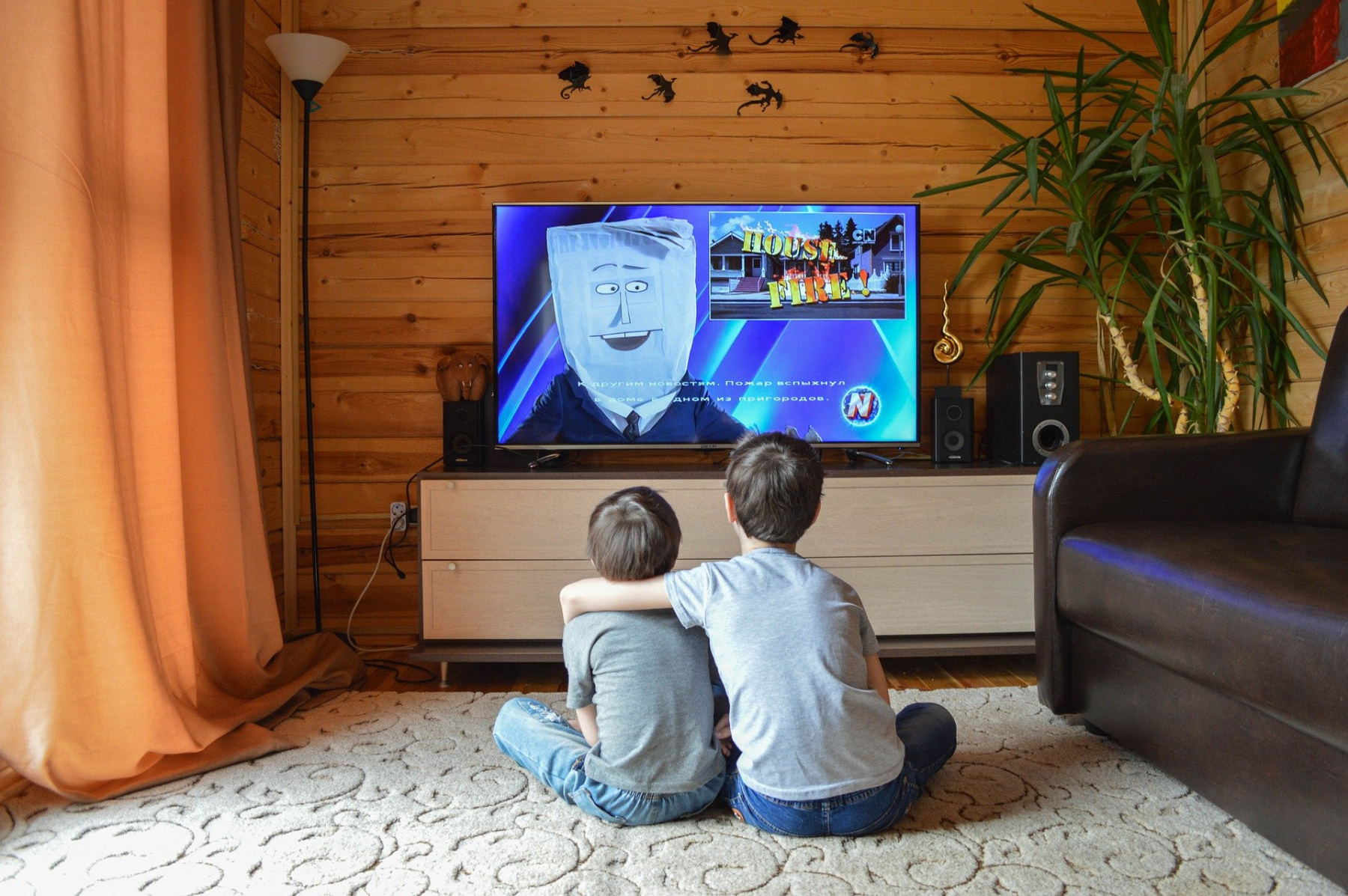 Телевизор. Телевизор для детей. Телевизор на даче. Дети смотрят телевизор.