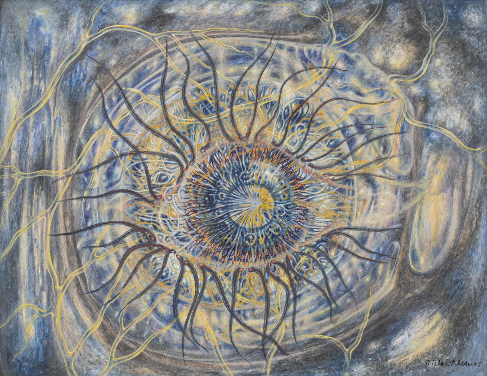 Calzini Antiscivolo Bambini 5 Paia - Cotone Con Motivi Animali - Foto 5