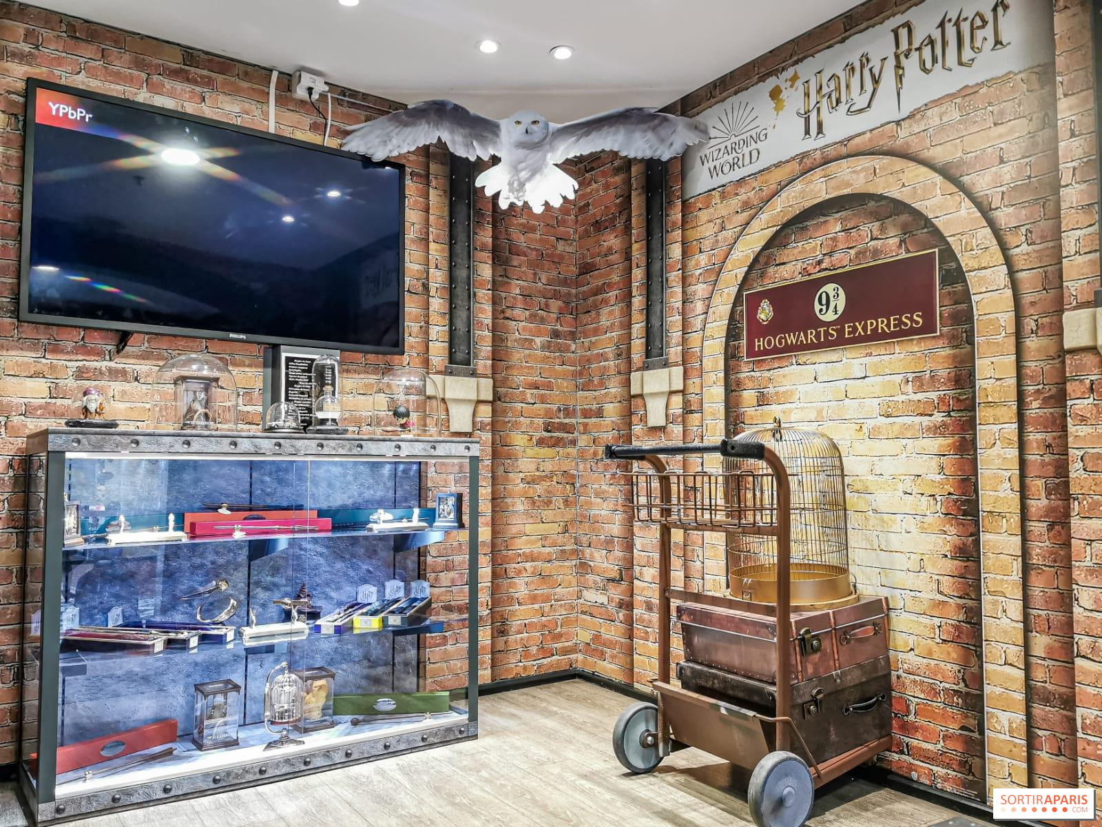 Harry Potter's Wizarding World store is back 