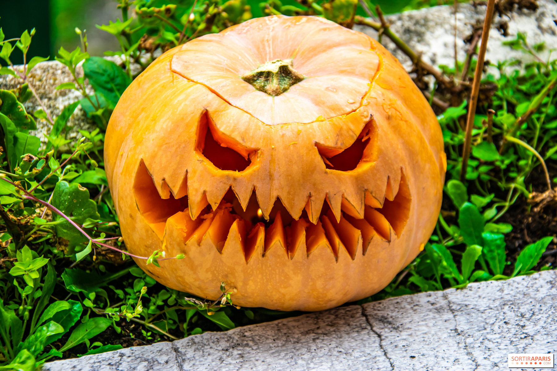 Как отпраздновать Хеллоуин дома: три оригинальные идеи
