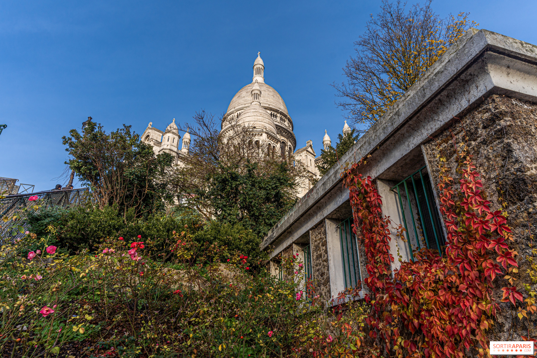 Hotel Le Jardin de Neuilly: Not Far from Fondation Louis Vuitton in Paris -  France Today