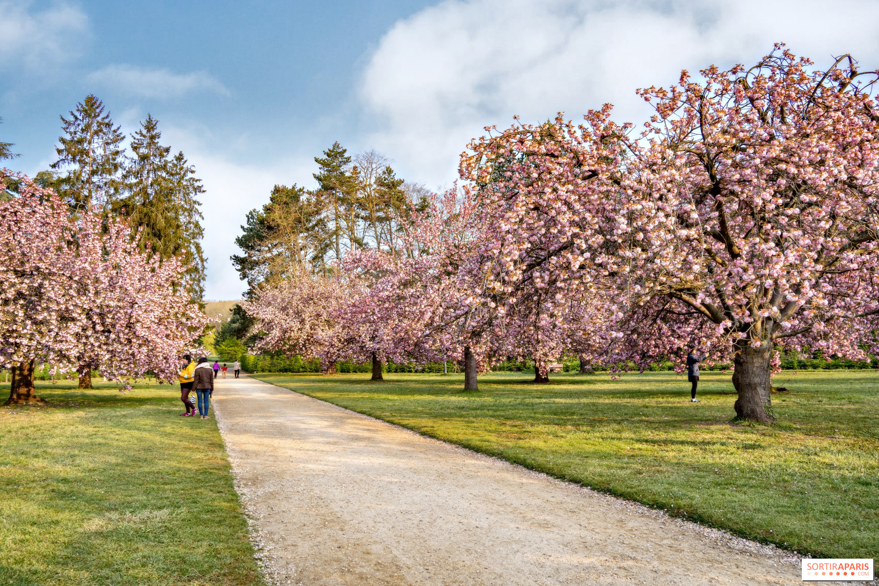 Parc du Domaine de Sceaux, a historic place with a verdant