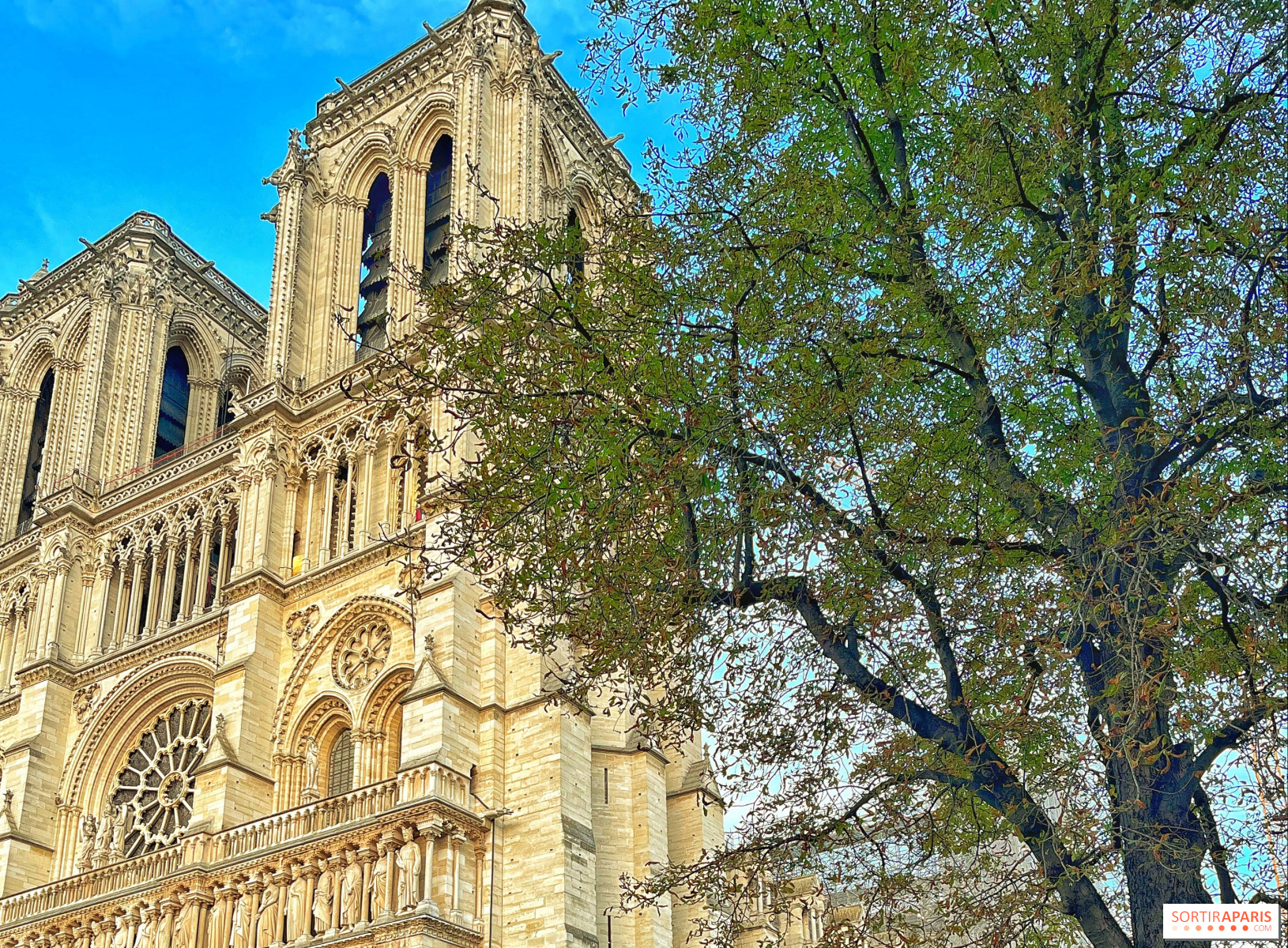 Los tesoros de la catedral de Notre-Dame de París se expondrán en el Museo  del Louvre en otoño de 2023 