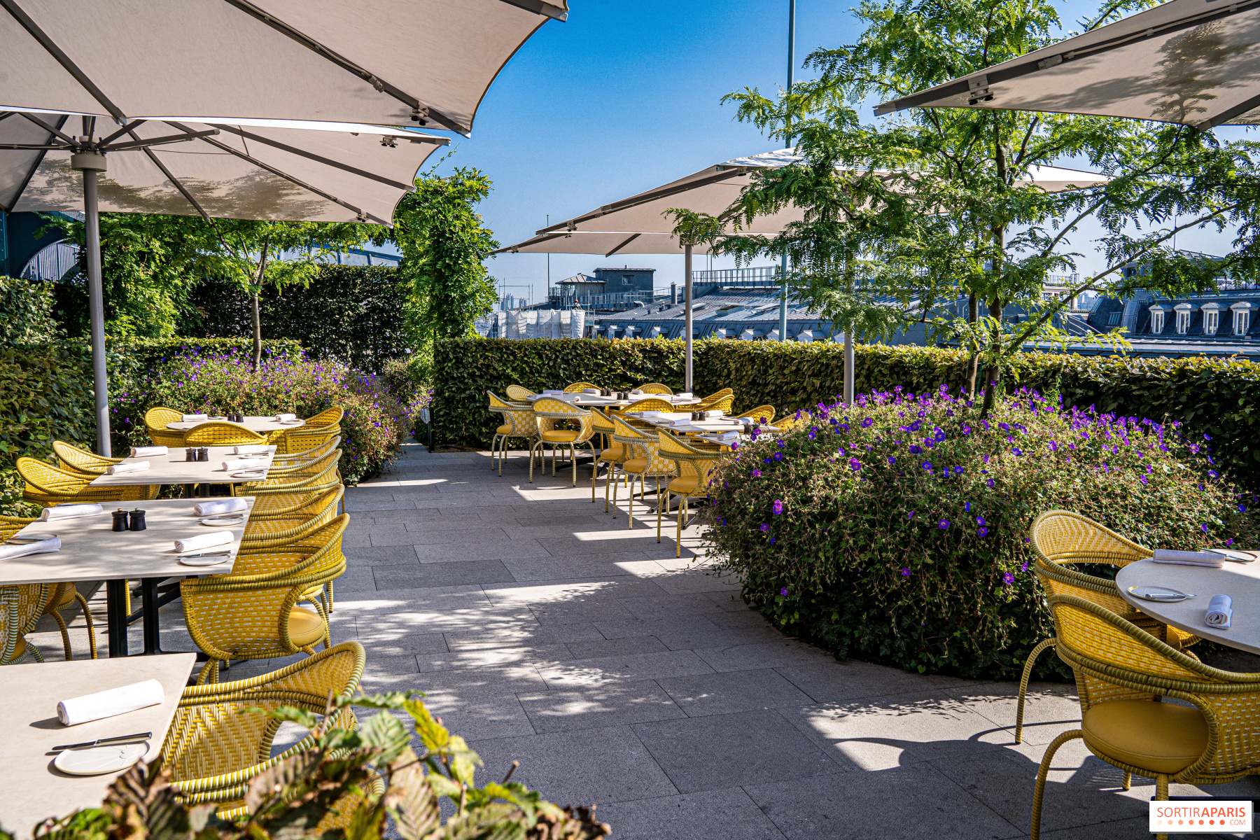 Four restaurants and bars at the heart of Paris │ Cheval Blanc Paris Hotel
