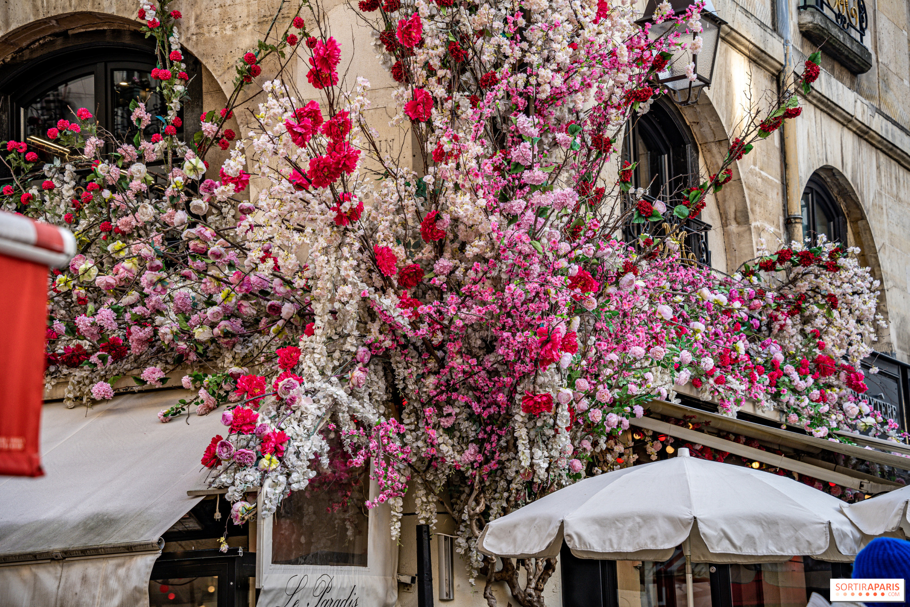 La Vie en Rose – City Blossoms