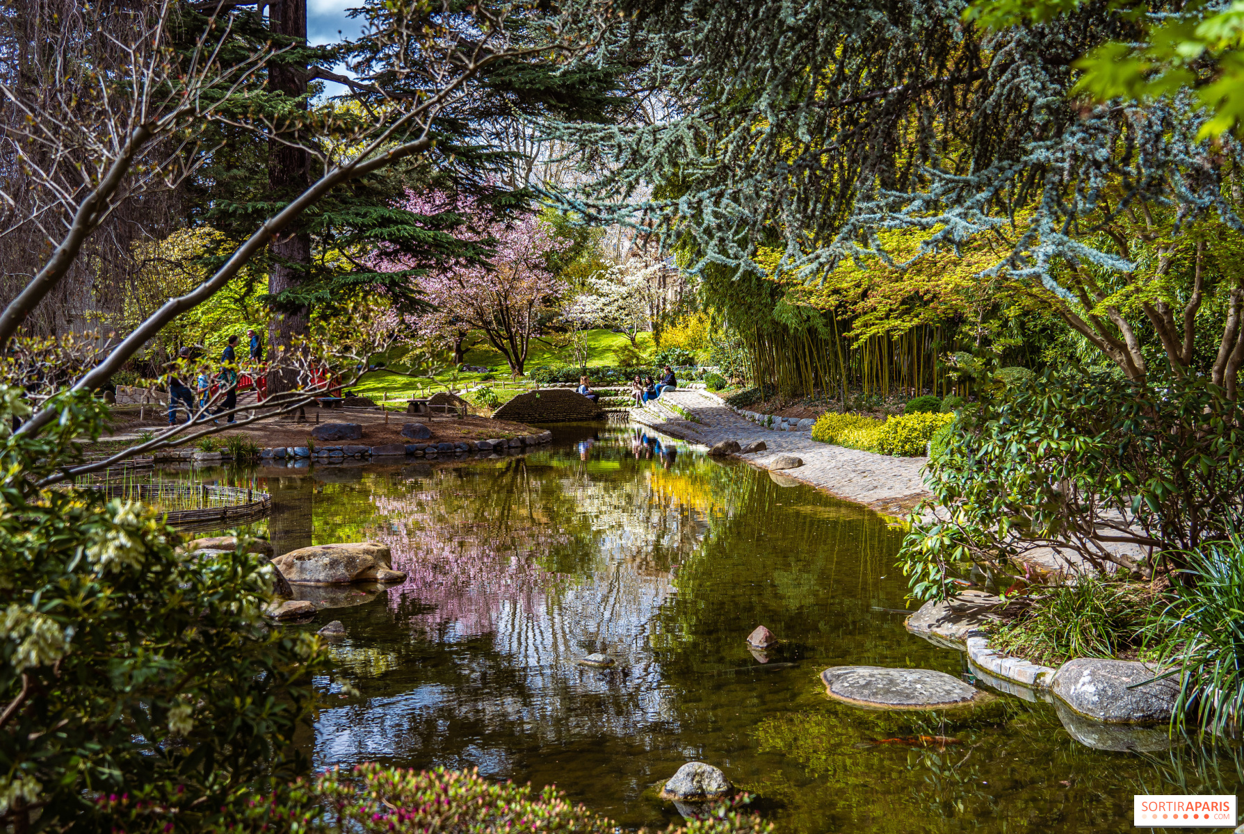 The sublime Japanese garden of the Musée Albert Kahn and its other
