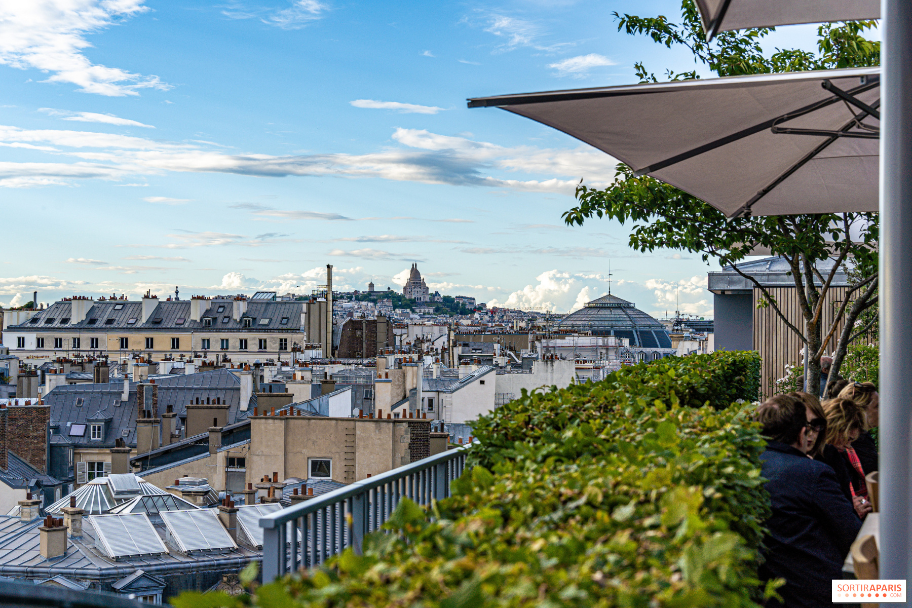 Why Le Tout-Paris Rooftop Bar At Cheval Blanc Is Worth A Visit - France  Travel Tips