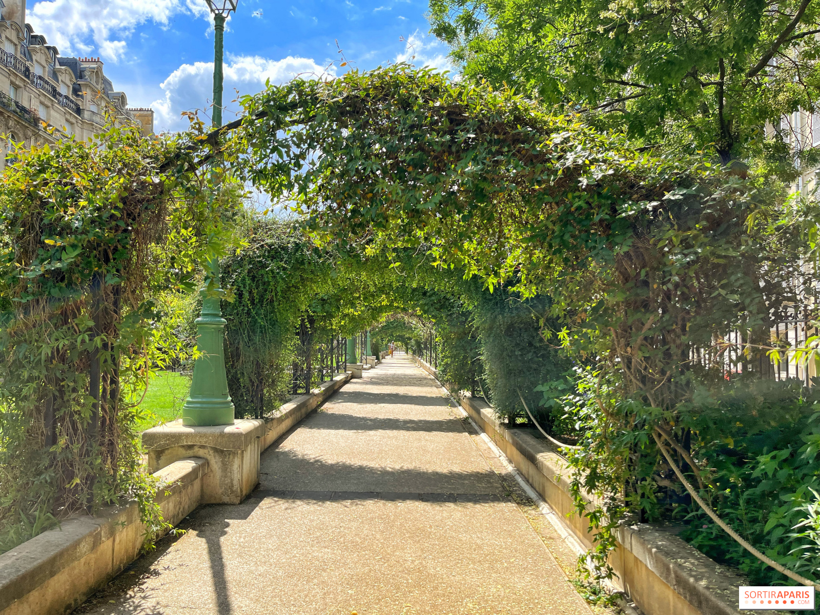 The most beautiful rose gardens in Paris and Île-de-France 