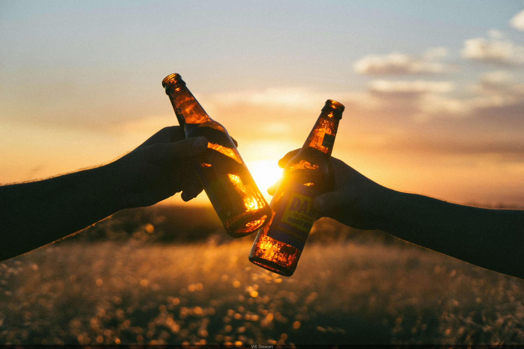 Elfondelabiere, le festival qui réunit rock et bière artisanale, à Marcoussis (91)