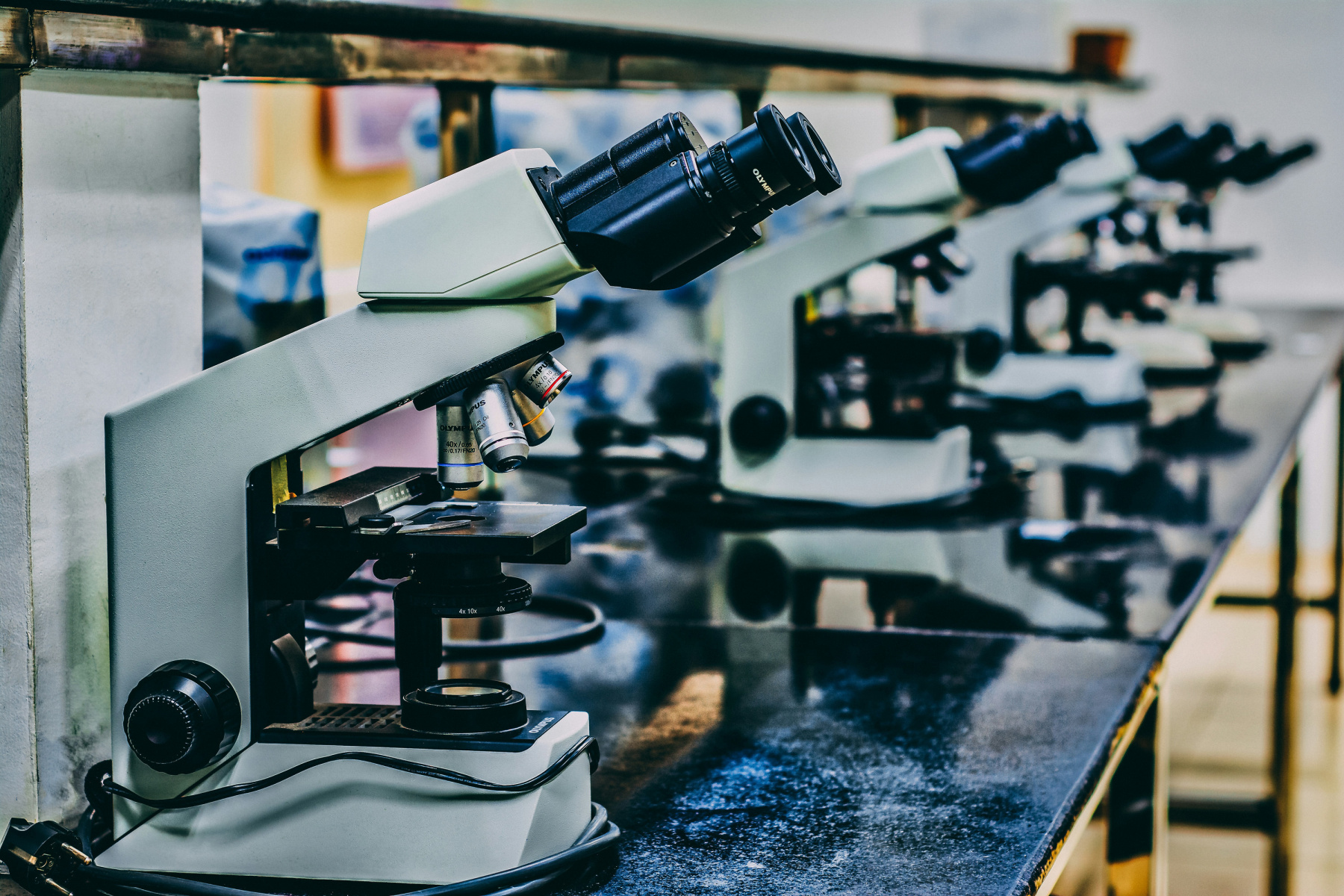 Fête de la Science 2026 à l'IUT de Créteil : un événement gratuit pour découvrir l'alimentation