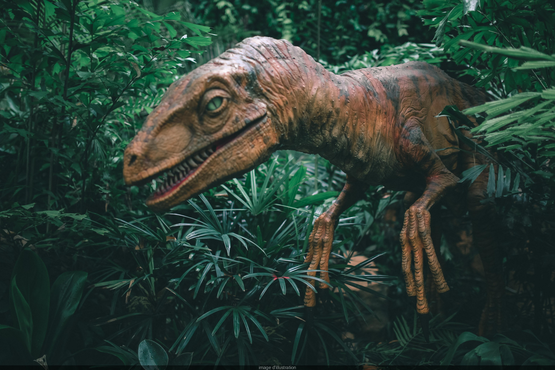 Vacances de février 2023 : des dinosaures à taille réelle, au centre  commercial de Plaisir 