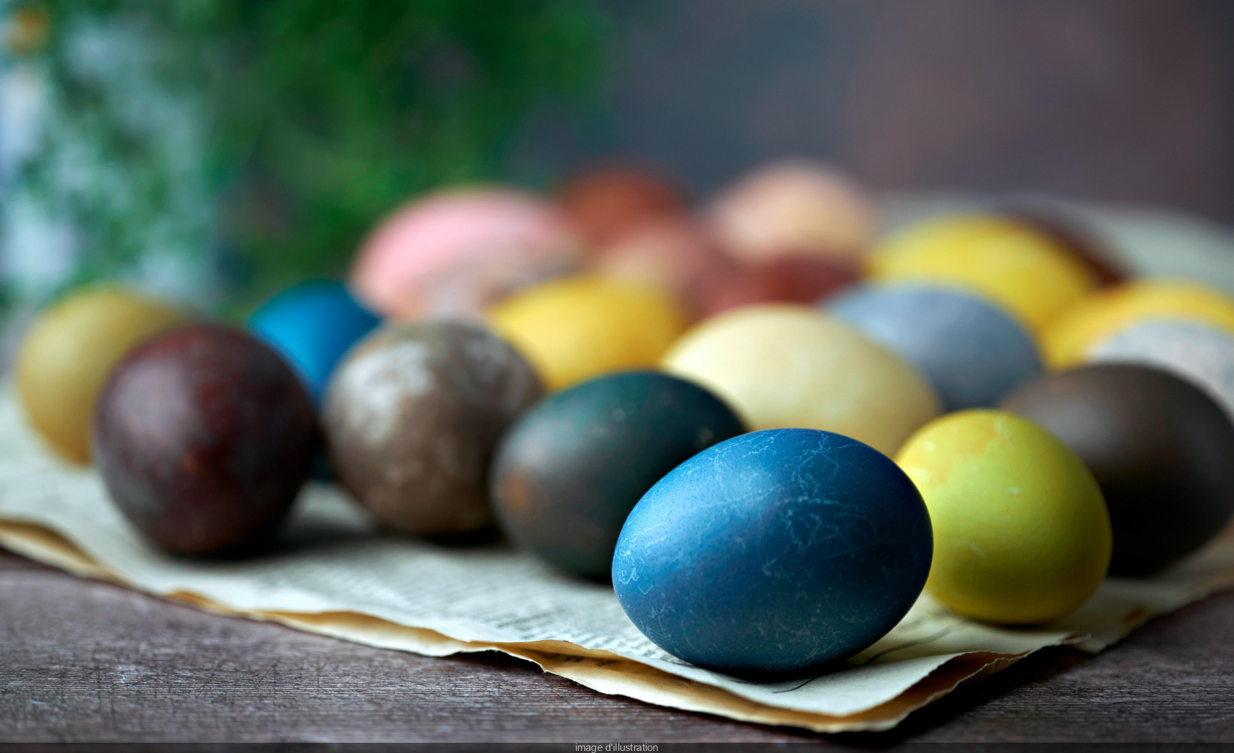 Chasse aux œufs de Pâques : le top des chocolats à cacher - Le Parisien