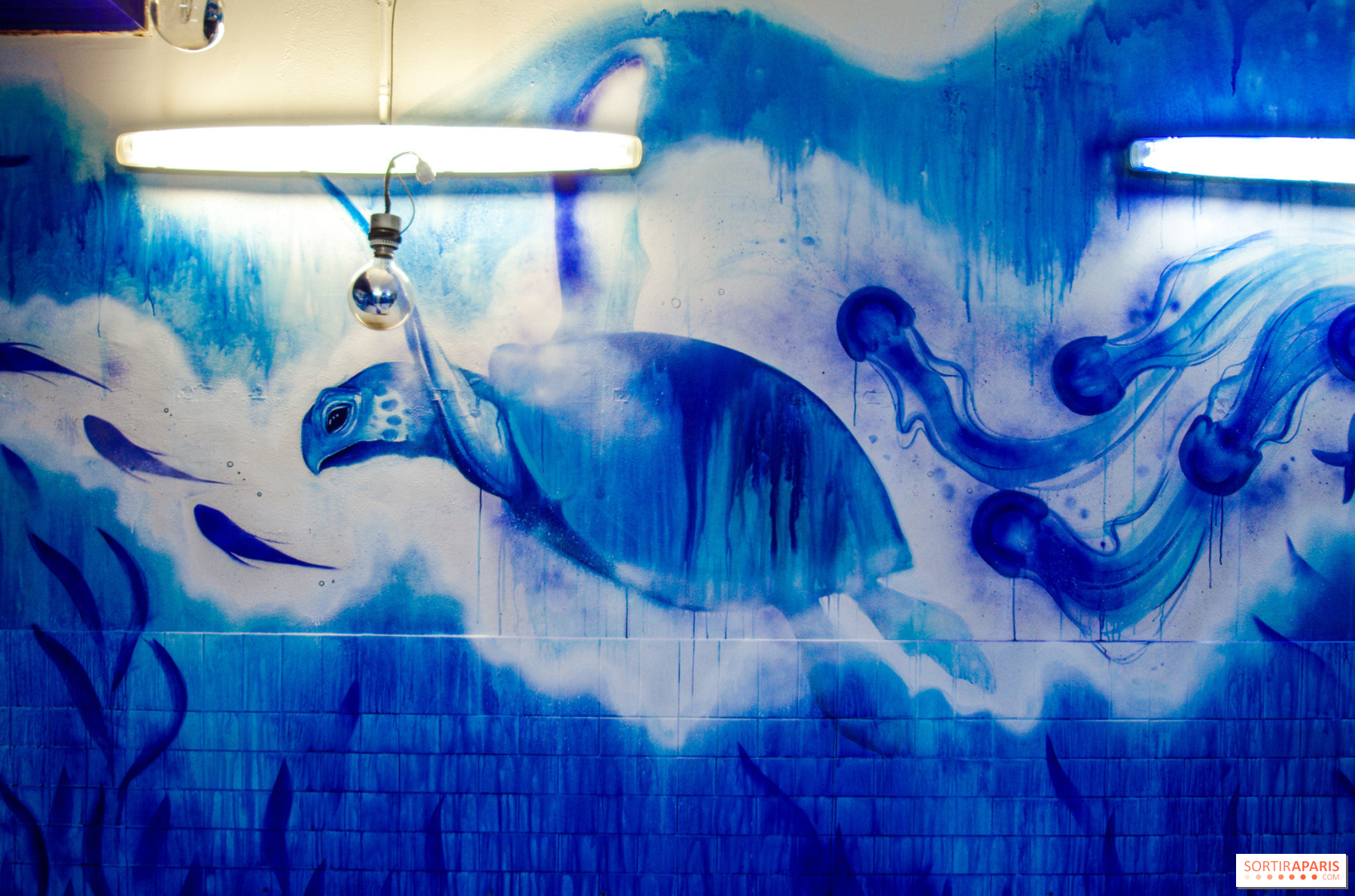 La Belle Piscine : des artistes urbains investissent la piscine désaffectée  de Vitry-sur-Seine 
