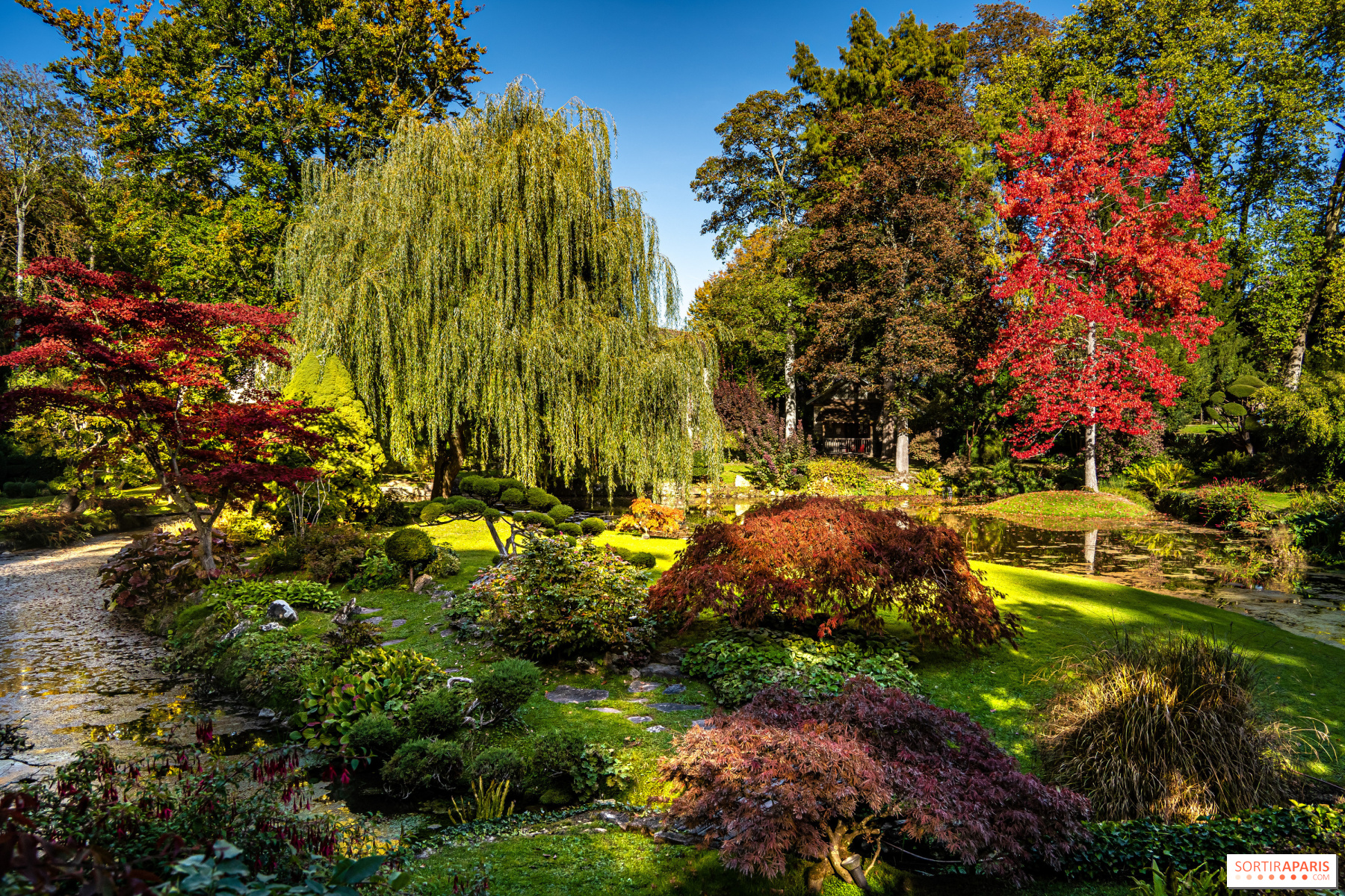 5 Jardins japonais sublimes à visiter à l'automne à Paris