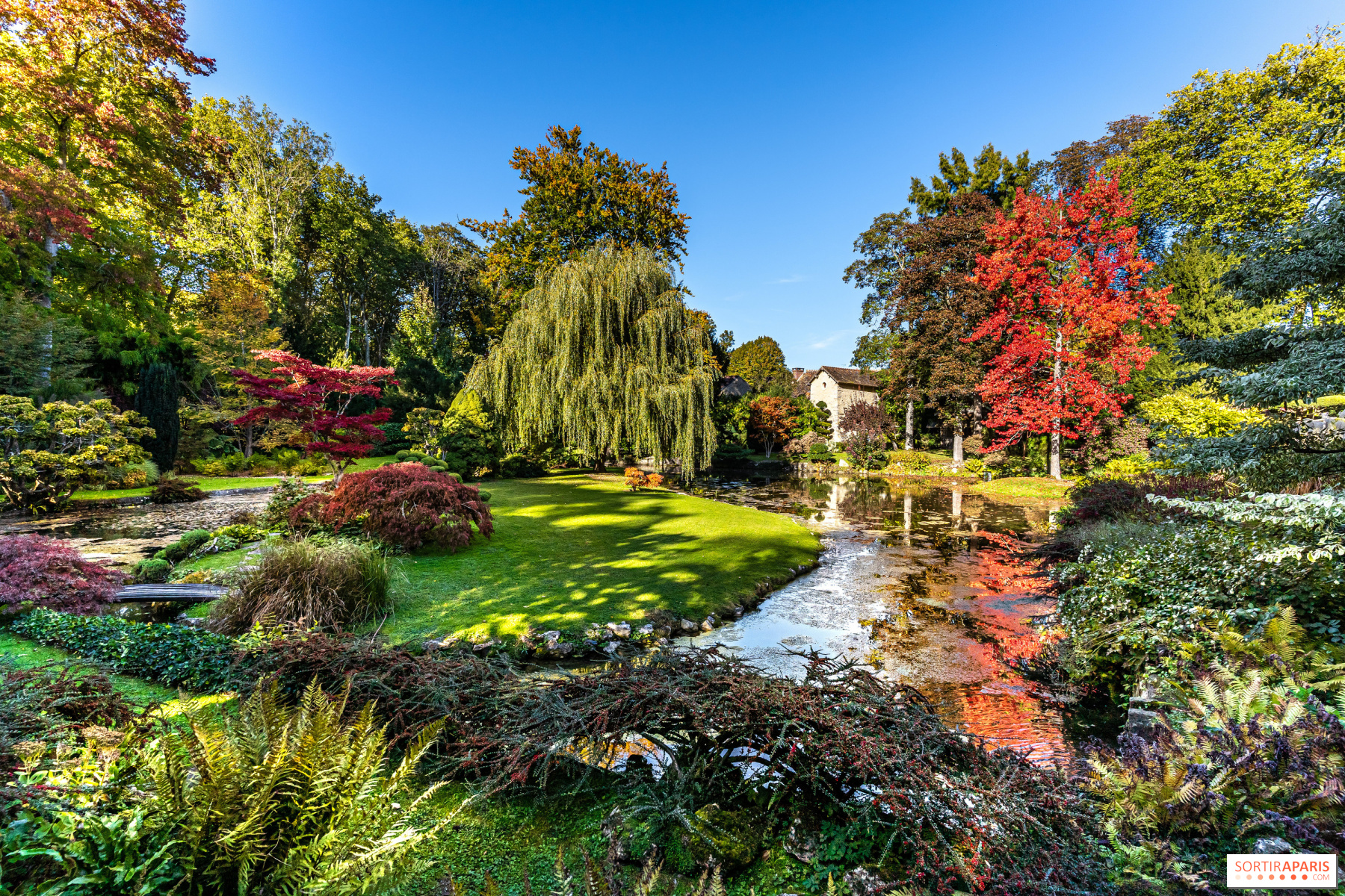 Le jardin japonais du Château de Courances : balade bucolique et
