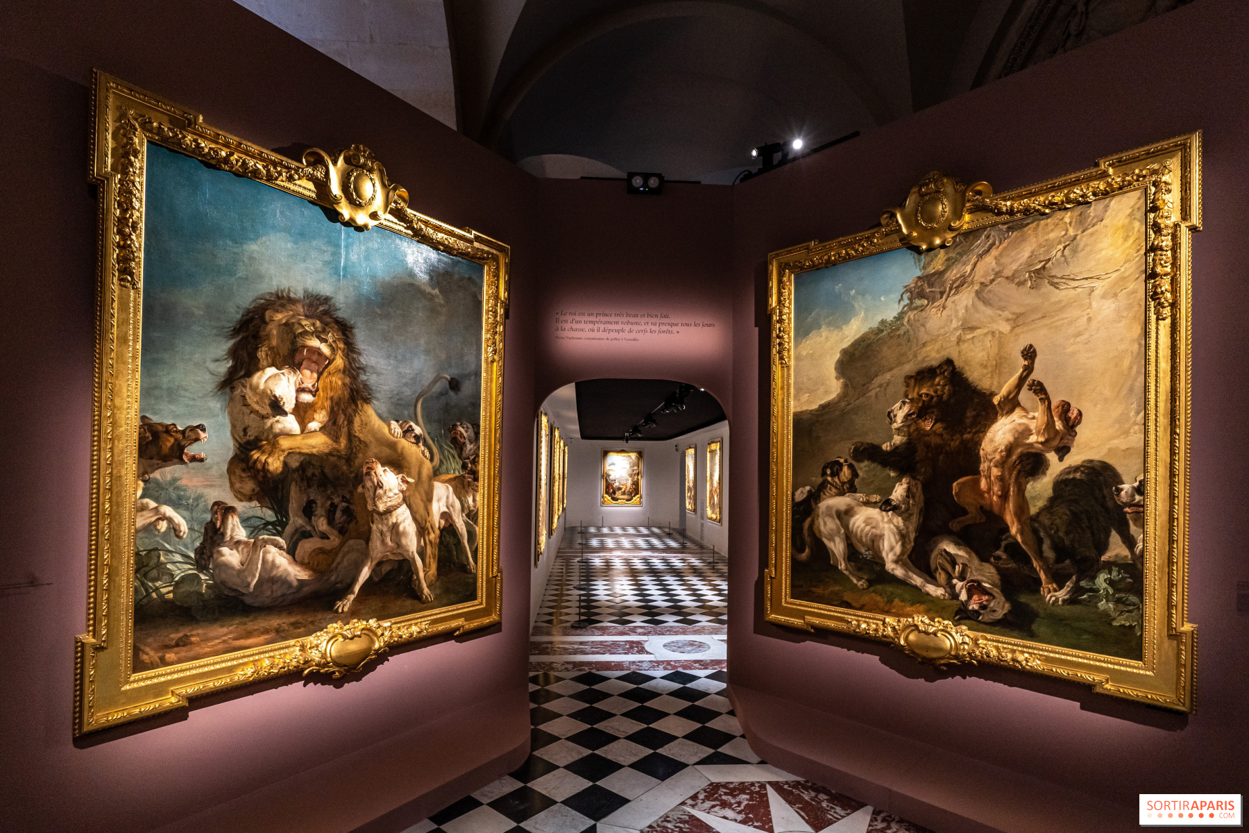 Exposition " Louis XV, passions d'un roi ", Versailles, 2022 - Page 2 805058-exposition-louis-xv-au-chateau-de-versailles-le-roi-chasseur-lion-d-afrique-ours-de-pologne-jean-jacques-bachelier