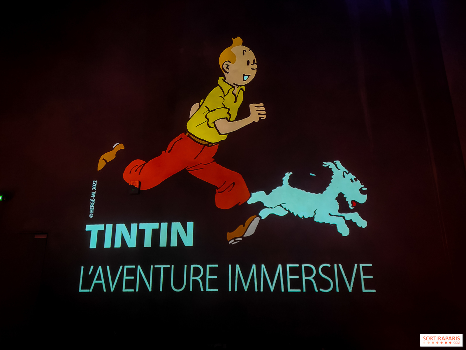 L'exposition immersive Tintin fait des merveilles aux Carrières des  Lumières en Provence