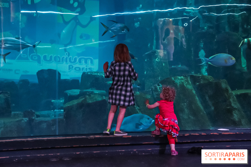 Visiter Paris en famille : notre guide des grands monuments et musées avec les enfants