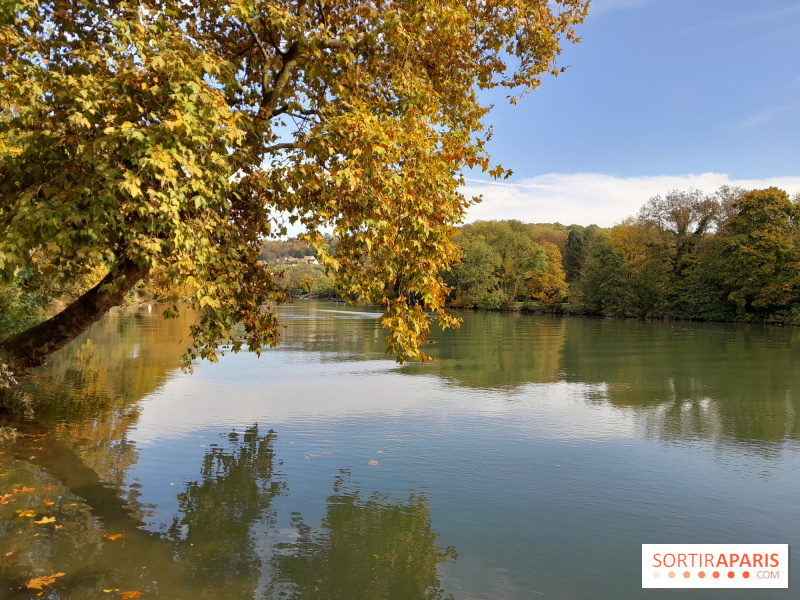 Où se baigner dans le Val-de-Marne ? Les bases de loisirs, piscines et plages dans le 94 (1/1)