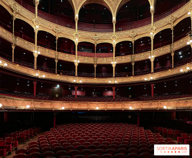 Quels pièces de théâtre et spectacles aller voir pendant le week-end du 11 novembre à Paris ?